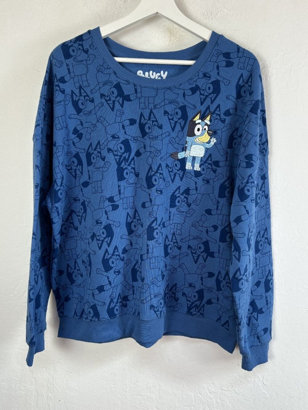 Bluey Hybrid Apparel Sweatshirt Womens XL Blue All Over Print Embroidered Casual